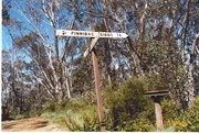 Pinnibar Gibbo Track Junction