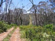 Track conditions approaching summit from west