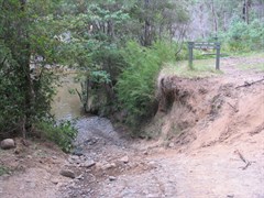 Murray River Ford - The last 20m on NSW side 