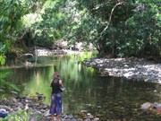 Upstream of road crossing