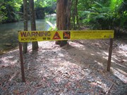 Crocodile sign