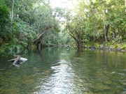 Looking upstream May 09