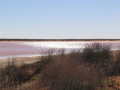 Looking over Lake Caroline