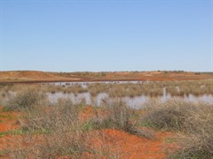 Looking over Lake Caroline