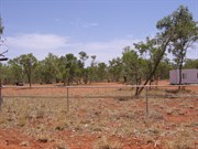 Bush camp ground on the Plenty Hwy at the Jervois Homestead tu