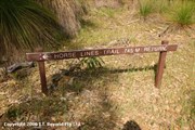 Track Sign 10th Light Horse Heritage Trail