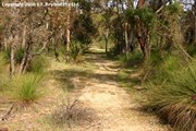 View of track 10th Light Horse Heritage Trail