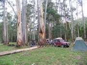 Poplars Reserve