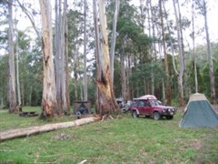 Poplars Reserve (Loch Valley) Campsites
