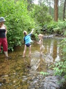 Poplars Reserve (Loch Valley) Campsites