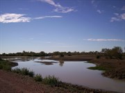 Eyre Creek Bedourie-Birdsville