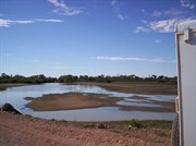 Eyre Creek Bedourie-Birdsville & sea birds