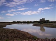 Eyre Creek Bedourie-Birdsville