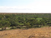 Emerald green in May 09