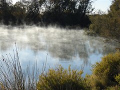 Dalhousie Springs