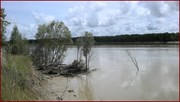 South Alligator River 