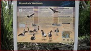 Mamukala Wetlands Information