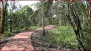 Path to Observation Building