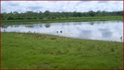 Mamukala Wetlands