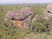 Views from Lookout