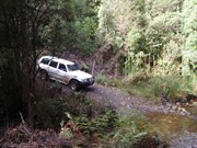 This picture was taken on the return from Montazuma falls. It 