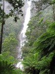 Montezuma Falls - in summer!