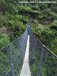 The suspension bridge