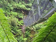 The suspension bridge - up close for those that are fearful of