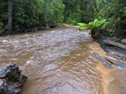 Ring River Crossing - view to southern bank