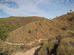 Ormiston Gorge