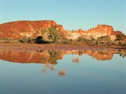 reflections in pools