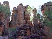 Southern Lost City
