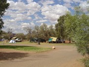 Green grass to camp on!!