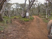 Bluff Tk & King Billy Tk & Brocks Rd