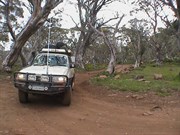 Bluff Tk & King Billy Tk & Brocks Rd