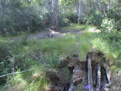 King Billy Tk (Collapsed Log Bridge)