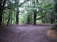 Some of the camp spots