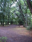 More excellent camps