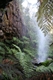 Bindaree Falls from behind