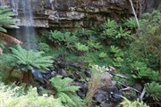 Bindaree Falls