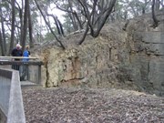 The Lookout