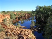 Duck Pool