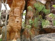 The Lost City