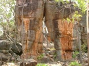 The Lost City