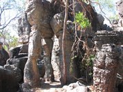 Lost City
