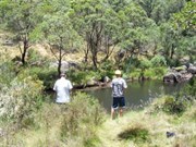 Finshing in Junction Pools