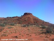 Helen Hill 
