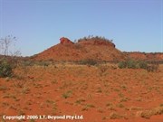 Helen Hill