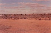 White Cliffs 1986