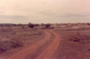 White Cliffs 1986